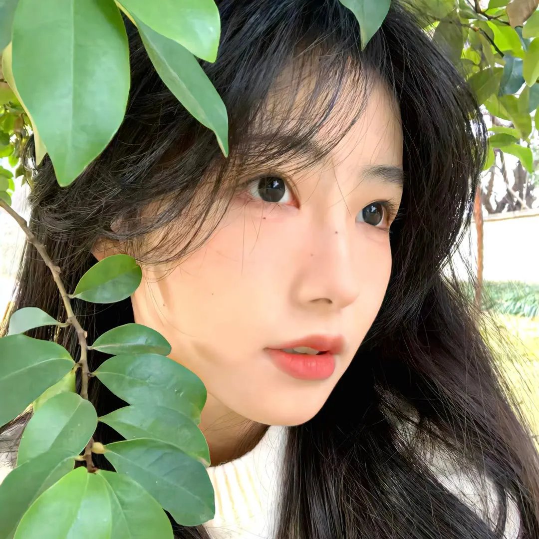 终结杉计划
